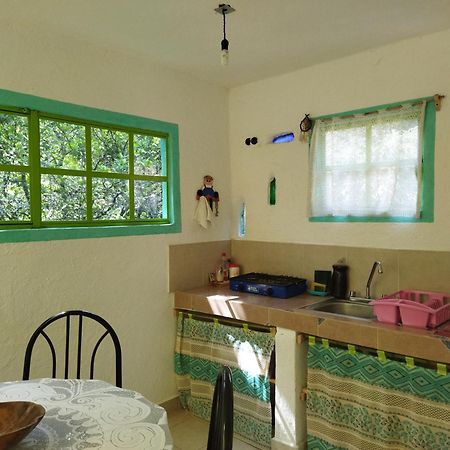 Casa Ecologica Apartment Tepoztlan Ngoại thất bức ảnh