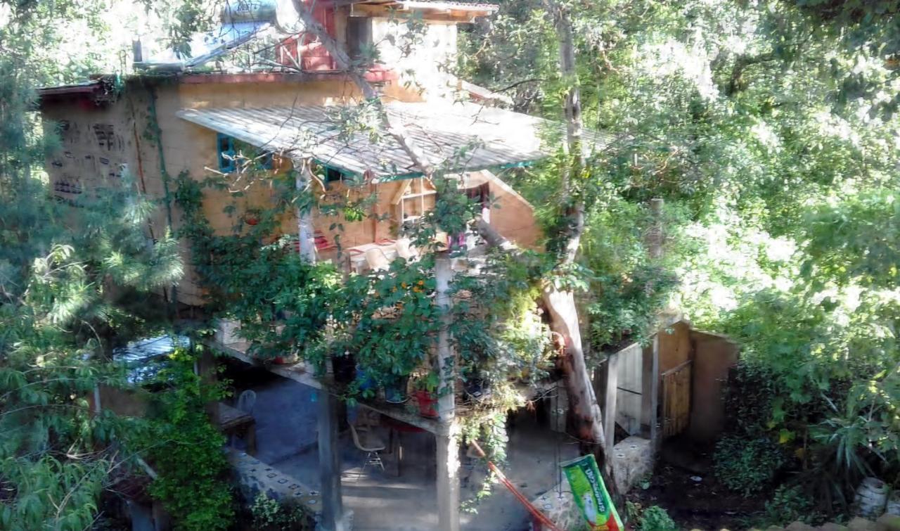 Casa Ecologica Apartment Tepoztlan Ngoại thất bức ảnh