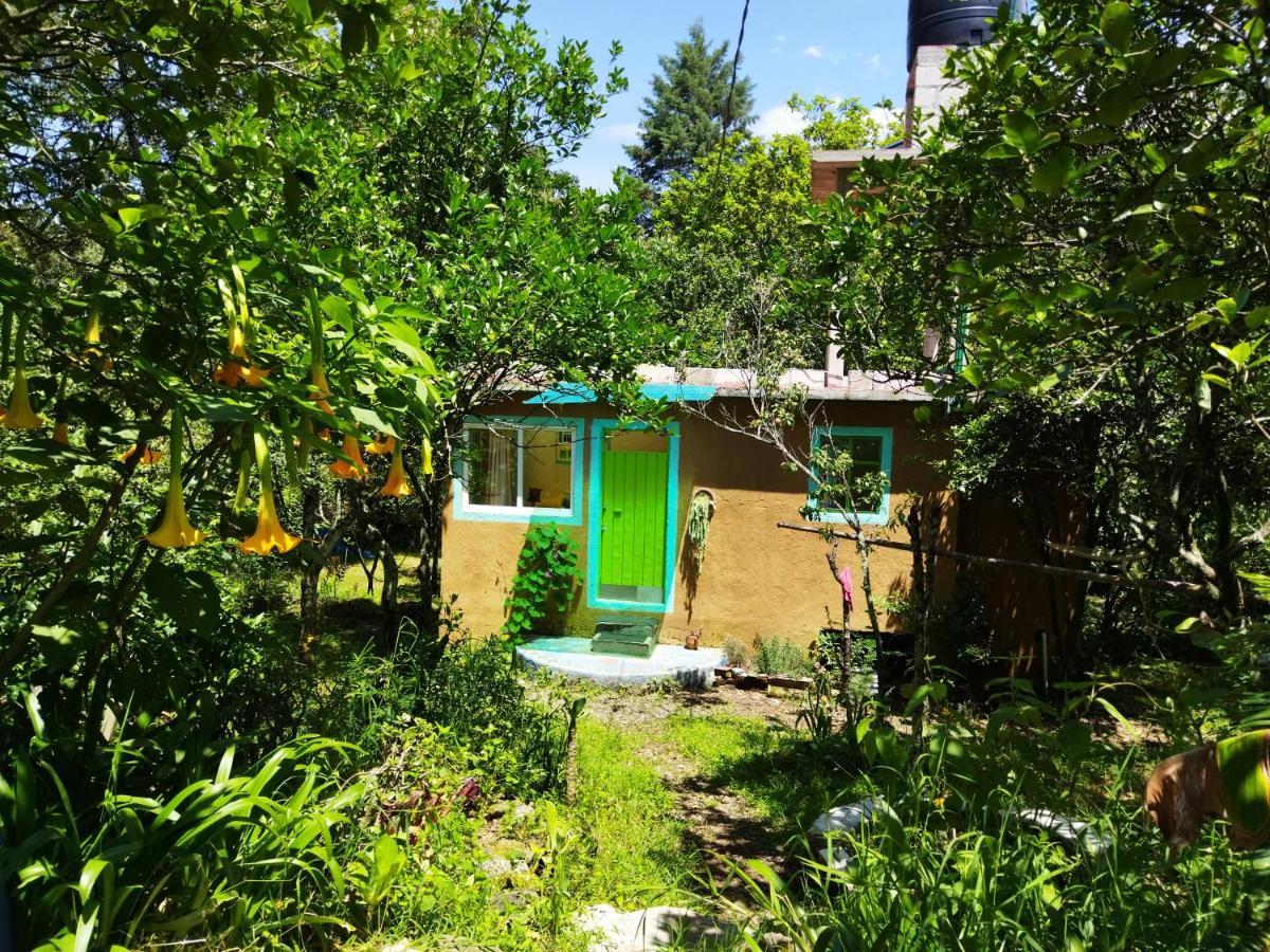 Casa Ecologica Apartment Tepoztlan Ngoại thất bức ảnh