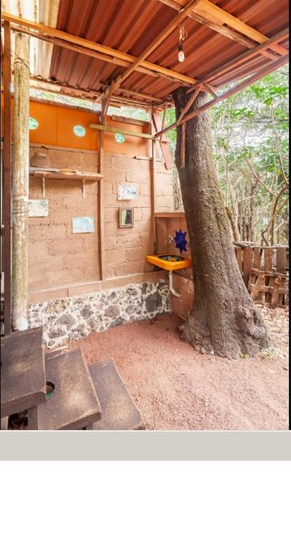 Casa Ecologica Apartment Tepoztlan Ngoại thất bức ảnh