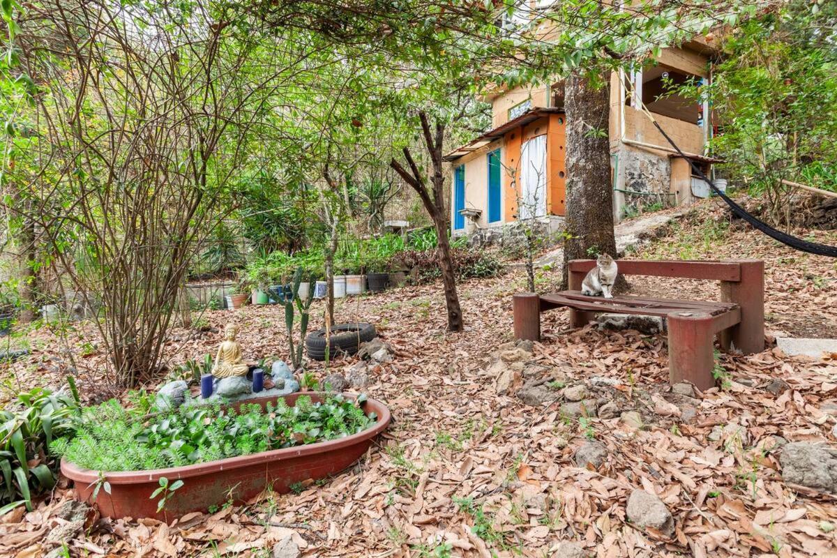 Casa Ecologica Apartment Tepoztlan Ngoại thất bức ảnh